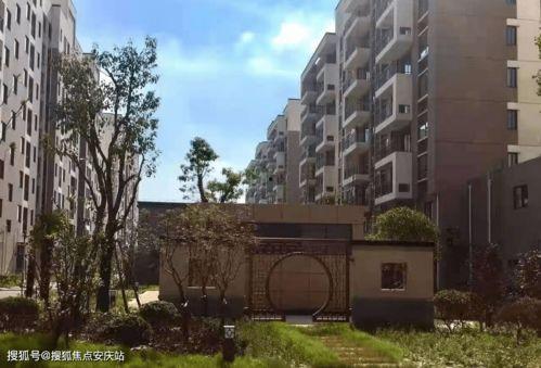 萍乡最新新闻爆料电话,揭秘城市动态，倾听市民心声